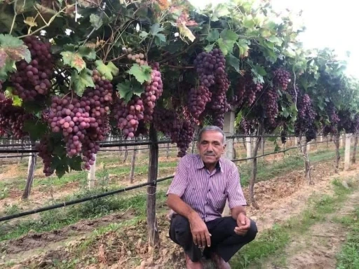 Sarıgöl Ziraat Odası’ndan tarım işçilerine yeni ücret tarifesi
