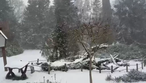 Sarıyer&rsquo;in y&uuml;ksek kesimleri karla kaplandı
