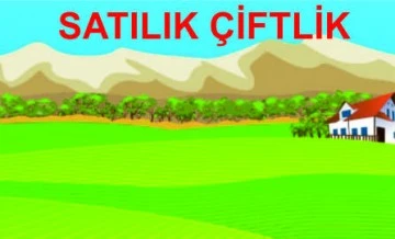 SATILIK