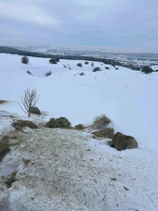 SC&Uuml;, Yabani hayvanlar i&ccedil;in doğaya yem bıraktı
