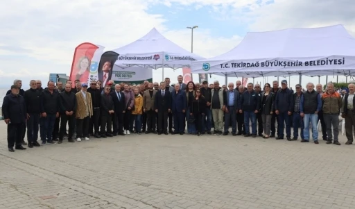 Sebze &uuml;reticilerine yarım milyon fide
