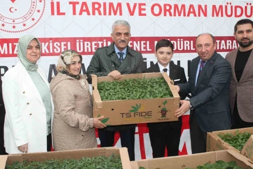 Sebze &uuml;retimi yapan &ccedil;ift&ccedil;ilere fide dağıtıldı
