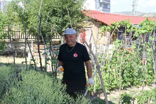 Şehir hayatından sıkıldı, mutluluğu köy hayatında buldu
