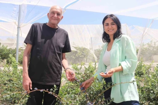 Şehir hayatından yorulan &ccedil;ift, topraksız tarım &uuml;reticisi oldu
