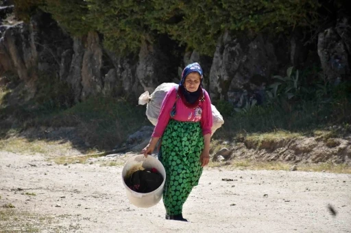 Şehir kavruluyor, yayla nefes aldırıyor
