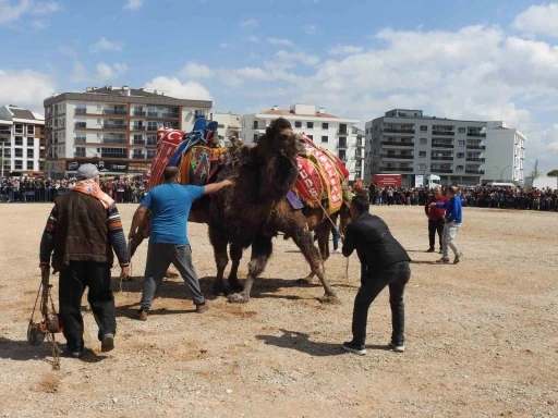 Şehir merkezinde 30 yıl sonra cami yararına deve güreşi düzenlendi
