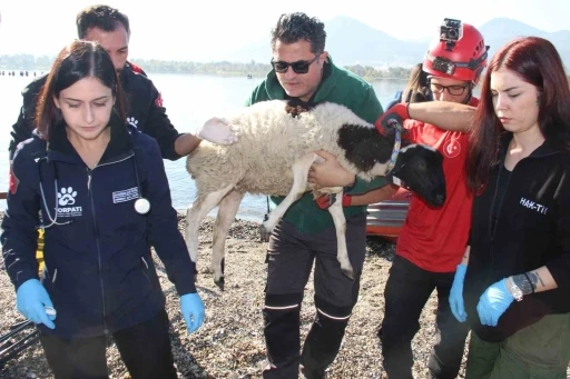 Sel felaketi riski taşıyan İzmir’de AFAD’dan tatbikat
