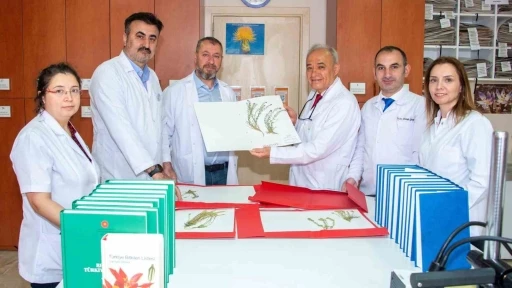 Sel&ccedil;uk &Uuml;niversitesi akademisyenleri 4 yeni bitki t&uuml;r&uuml; keşfetti
