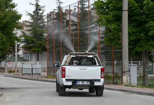 Selçuklu’da ilaçlama çalışmalar başladı
