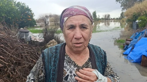 Selde mahsur kalan k&ouml;peği AKOM ekipleri kurtardı
