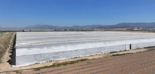 Serada çalışan 26 işçi zehirlenme şüphesiyle hastanelere kaldırıldı
