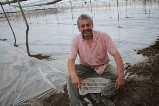 Seralarda yeni sezon &uuml;retim i&ccedil;in solarizasyon d&ouml;nemi başladı
