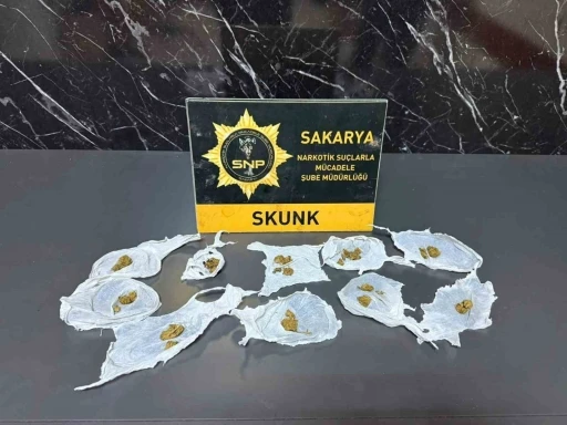 Serdivan&rsquo;da uyuşturucu operasyonu: 1 kişi tutuklandı
