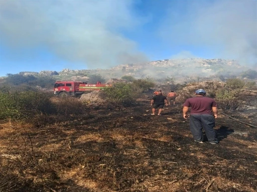 Serik’te makilik ve zeytinlik alanda çıkan yangın 1 saatte kontrol altına alındı
