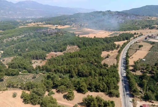 Seydikemer&rsquo;deki orman yangını kontrol altına alındı
