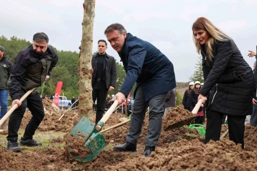 Şeyh Edebali&rsquo;nin vefatının 700. yıl d&ouml;n&uuml;m&uuml;nde 700 &ccedil;ınar toprakla buluştu
