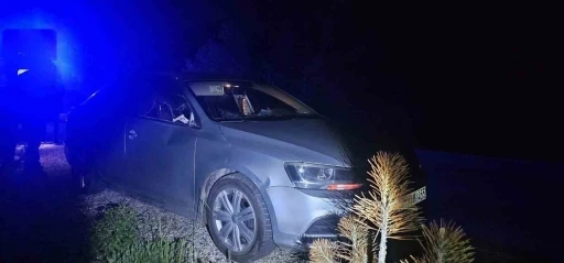 Seyir halindeki otomobile geyik &ccedil;arptı: 2 yaralı
