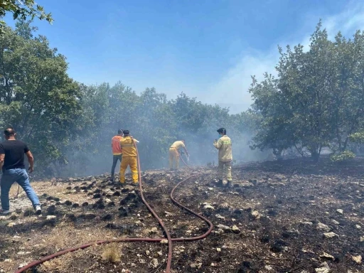 Seyitgazi’deki orman yangını kontrol altına alındı
