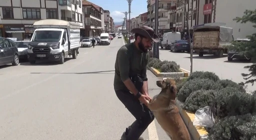 Seyyah Ömer, ‘Yoldaş’ ile 63. durağı olan Yozgat’ta fidan dikti

