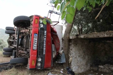 Seyyar pideciyi ölümden zeytin ağacı kurtardı
