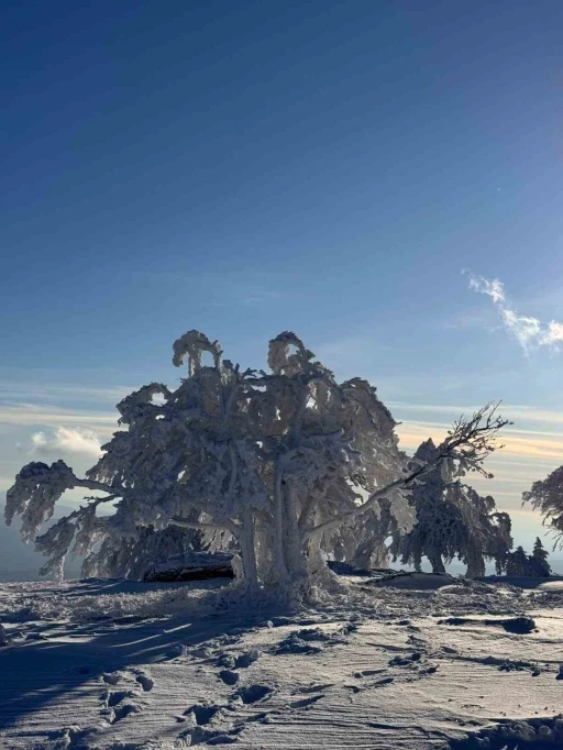 Sibirya değil &Ccedil;ataldağ
