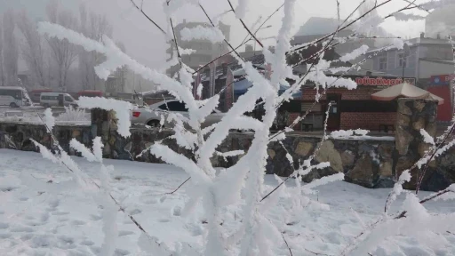 Sibirya soğukları hayatı olumsuz etkiliyor

