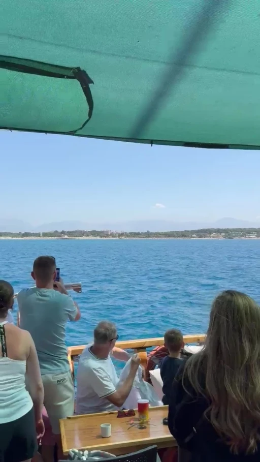 Side açıklarında Akdeniz foku görüntülendi, turistler hayretler içinde izledi

