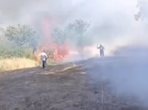 Siirt’te çay için yakılan ateş fıstık ağaçlarını küle çevirdi
