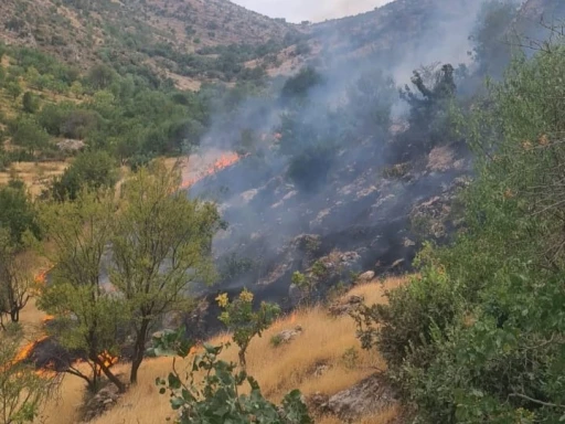 Siirt’te çıkan yangında 2 dönüm arazi zarar gördü

