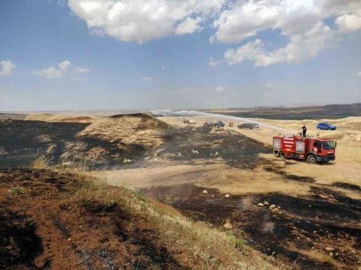 Siirt’te çıkan yangında ekili alanlar zarar gördü
