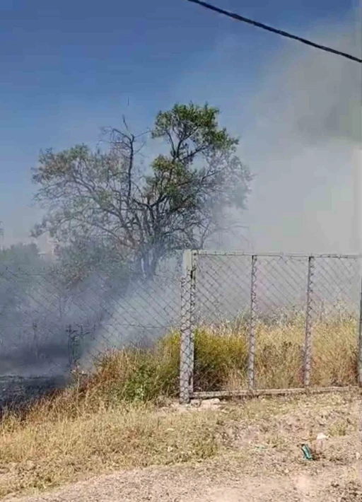 Siirt&rsquo;te evin bah&ccedil;esinde &ccedil;ıkan yangında meyve ağa&ccedil;ları k&uuml;l oldu
