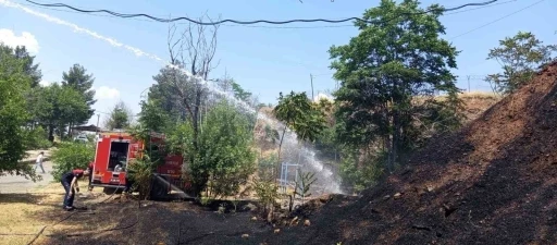 Siirt&rsquo;te iş makinesinden &ccedil;ıkan kıvılcımı otluk alanı yaktı
