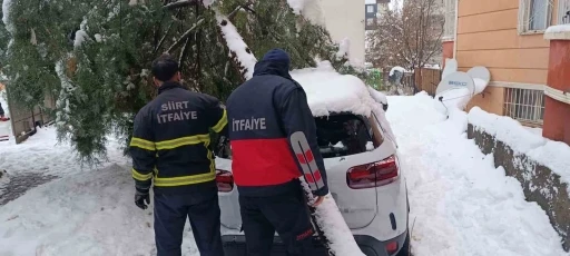 Siirt&rsquo;te karın ağırlığına dayanamayan &ccedil;am ağacı otomobilin &uuml;zerine devrildi
