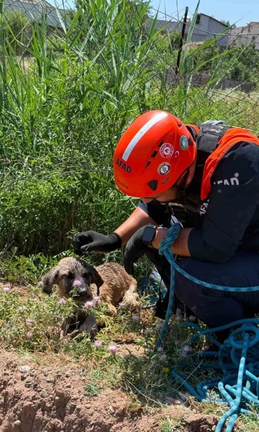 Siirt&rsquo;te kuyuya d&uuml;şen k&ouml;pek kurtarıldı
