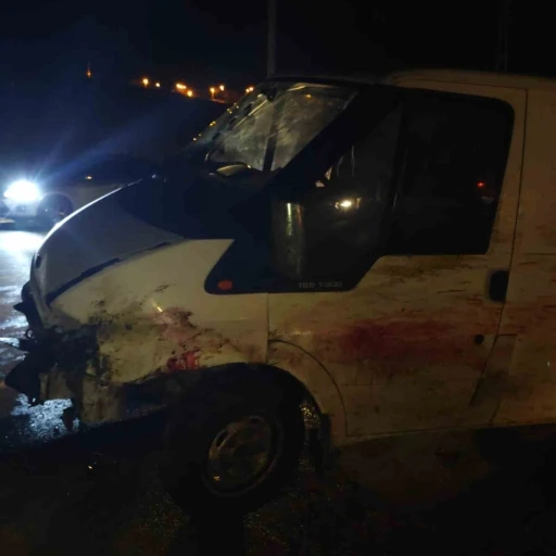 Siirt’te minibüs koyun sürüsüne daldı, 20’si telef oldu
