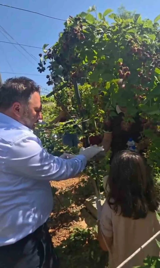 Siirt&rsquo;te &ouml;zel bireyler ve &ccedil;ocuklar b&ouml;ğ&uuml;rtlen hasadında buluştu
