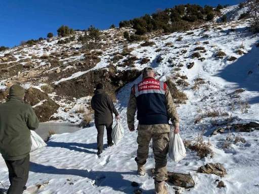 Siirt&rsquo;te yaban hayvanlarına 750 kilo yem bırakıldı
