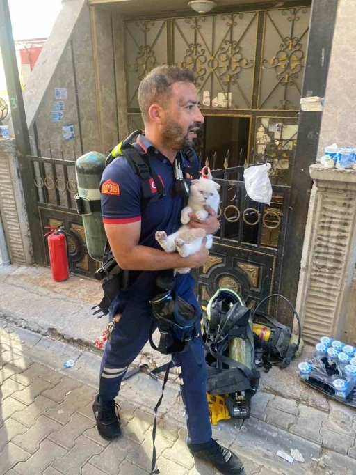 Siirt’te yangında mahsur kalan kediyi itfaiye ekipleri kurtardı