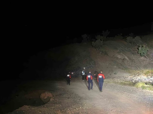 Siirt&rsquo;yte kaybolan &ccedil;oban i&ccedil;in arama &ccedil;alışmaları başlatıldı
