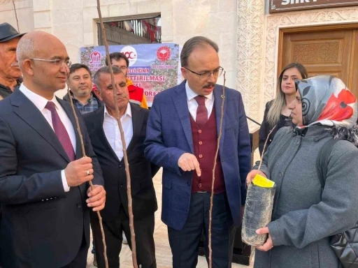 Siirtli &ccedil;ift&ccedil;ilere 25 bin fıstık ve 4 bin 300 adet Trabzon Hurması fidanı dağıtıldı
