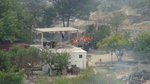 Silifke’deki orman yangınıyla mücadele devam ediyor: 526 personel sahada
