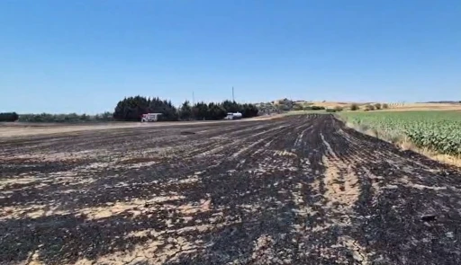 Silivri&rsquo;de elektrik direği kesimi sırasında yangın: Ekili araziler zarar g&ouml;rd&uuml;
