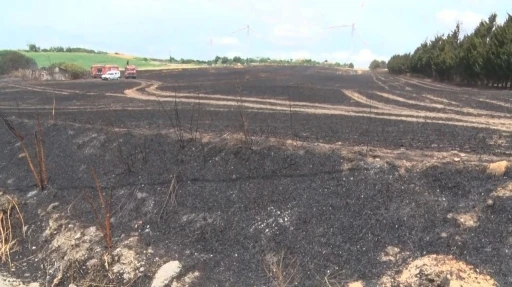 Silivri’de sigara izmariti 30 dönüm buğdayı küle çevirdi
