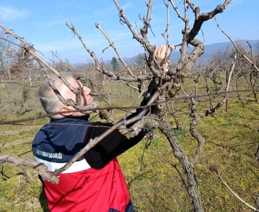Simav&rsquo;da yem bitkileri ve hububat ekili alanlarda verim &ccedil;alışması yapıldı
