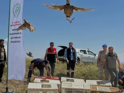 Sincik&rsquo;te 200 keklik doğaya salındı
