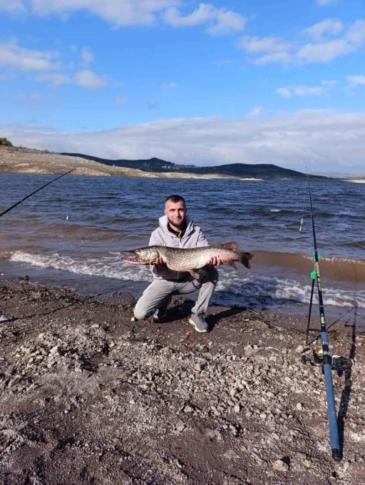 Sındırgı&rsquo;da dev sazan balığı yakalandı
