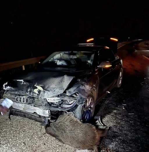Sinop Belediye Başkanı Gürbüz’ün makam aracı domuz sürüsüne çarptı
