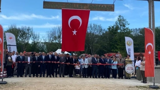 Sinop Millet Ormanı hizmete a&ccedil;ıldı
