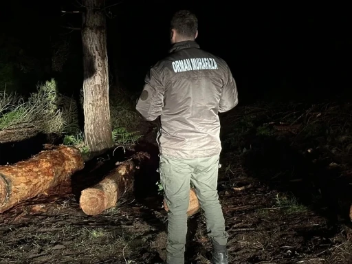 Sinop ormanları gece-g&uuml;nd&uuml;z koruma altında
