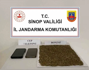 Sinop’ta 80 gram bonzai ele geçirildi
